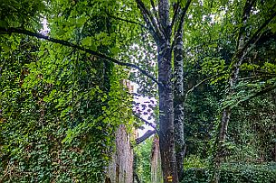 27062021-DSCF1125 Urbex-Couze_HDR