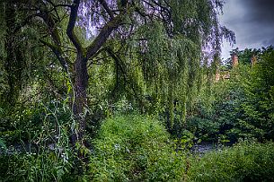 27062021-DSCF1149 Urbex-Couze_HDR