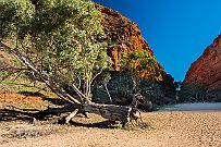 Australie 0317 0577 - Alice Spring Namatjira drive, un aller et retour de 300 km, suis bien content de ne pas conduire. Visites des gorges du park Macdonnell. Ici, Simpsons GAP.