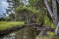 Australie 0324 1384 - Sud Perth On passe vite par Augusta, Leeuwin.