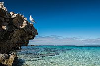 Australie 0328 1732 - Rottnes Island