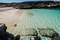 Australie 0328 1734 - Rottnes Island Nous ! Seuls au monde (pour l'instant !)