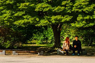 Perriere-Coree0598-2b Parc de Tongmyeongjeon