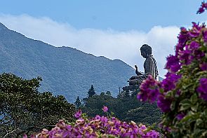 HongKong - Perriere-Taiwan-2_3323 Tian Ta, un Bouddha de 36 m de haut, nous attend au milieu d'une belle végétation. -*-