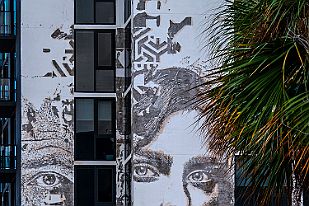 XT0B1740 Quartier WynWood de Miami. C'est le royaume des grapheurs où nous nous perdons avec plaisir.