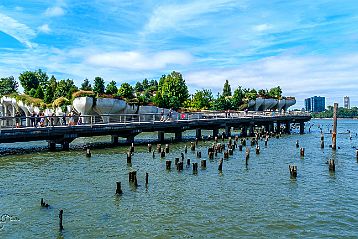 Les rives du fleuve Hudson