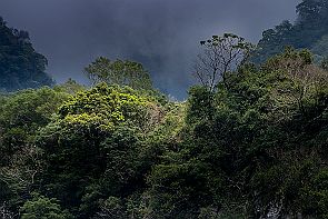 Perriere-Taiwan-2_5771