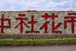 Perriere-Taiwan-4_8258 Houli Flower Farm de Taichung. J'espère que vous aimez les fleurs ! -*-