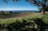 NZ -7289 Une curiosité à proximité d'Auckland, Maungawhau (ou Mont Eden) ancien cratère qui offre un panoramique sur la baie d'Auckland.